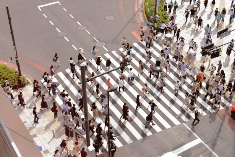 pedestrians crossing the zebra