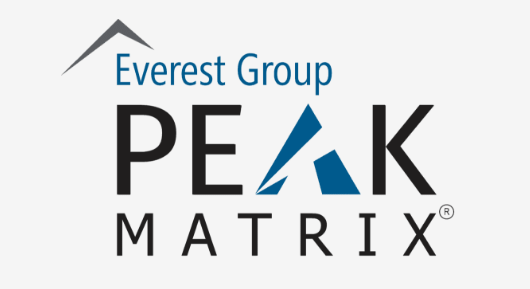 Everest Group PEAK Matrix logo